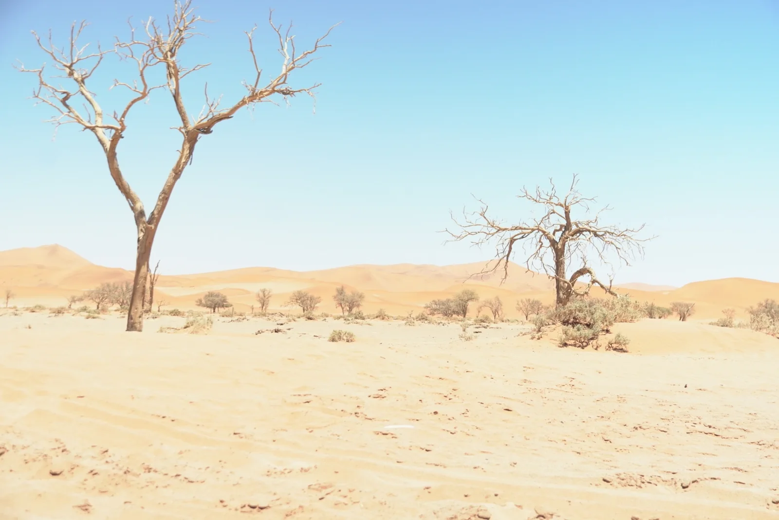 Woestijnlandschap in Namibië